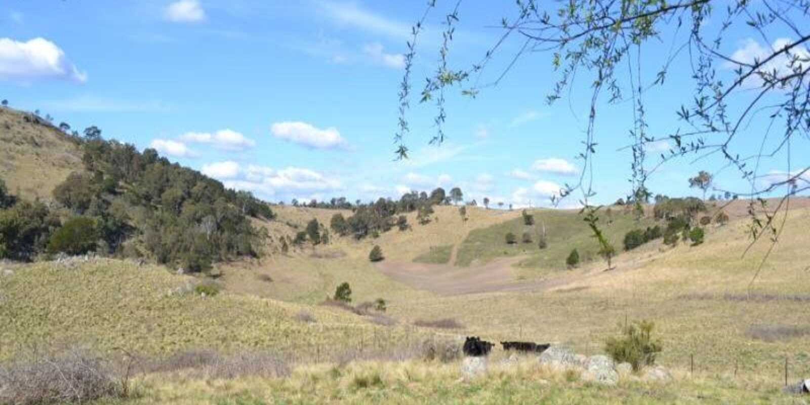 116 Pheasant Gully Road Bullio