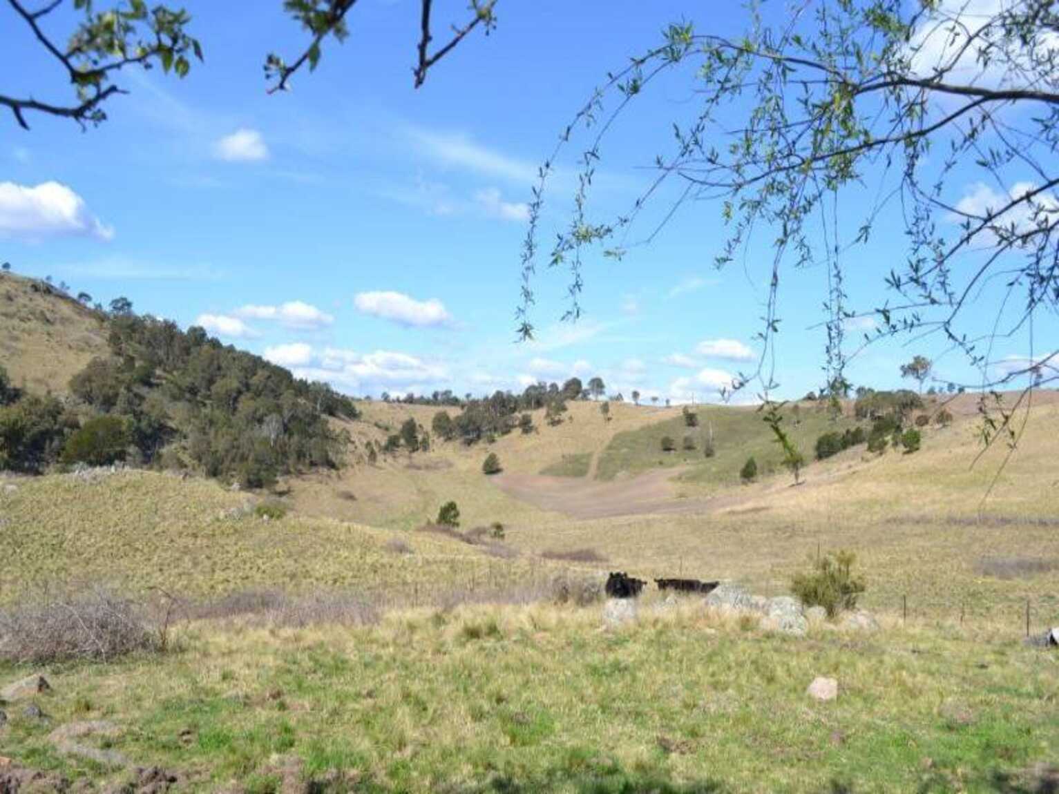 116 Pheasant Gully Road Bullio