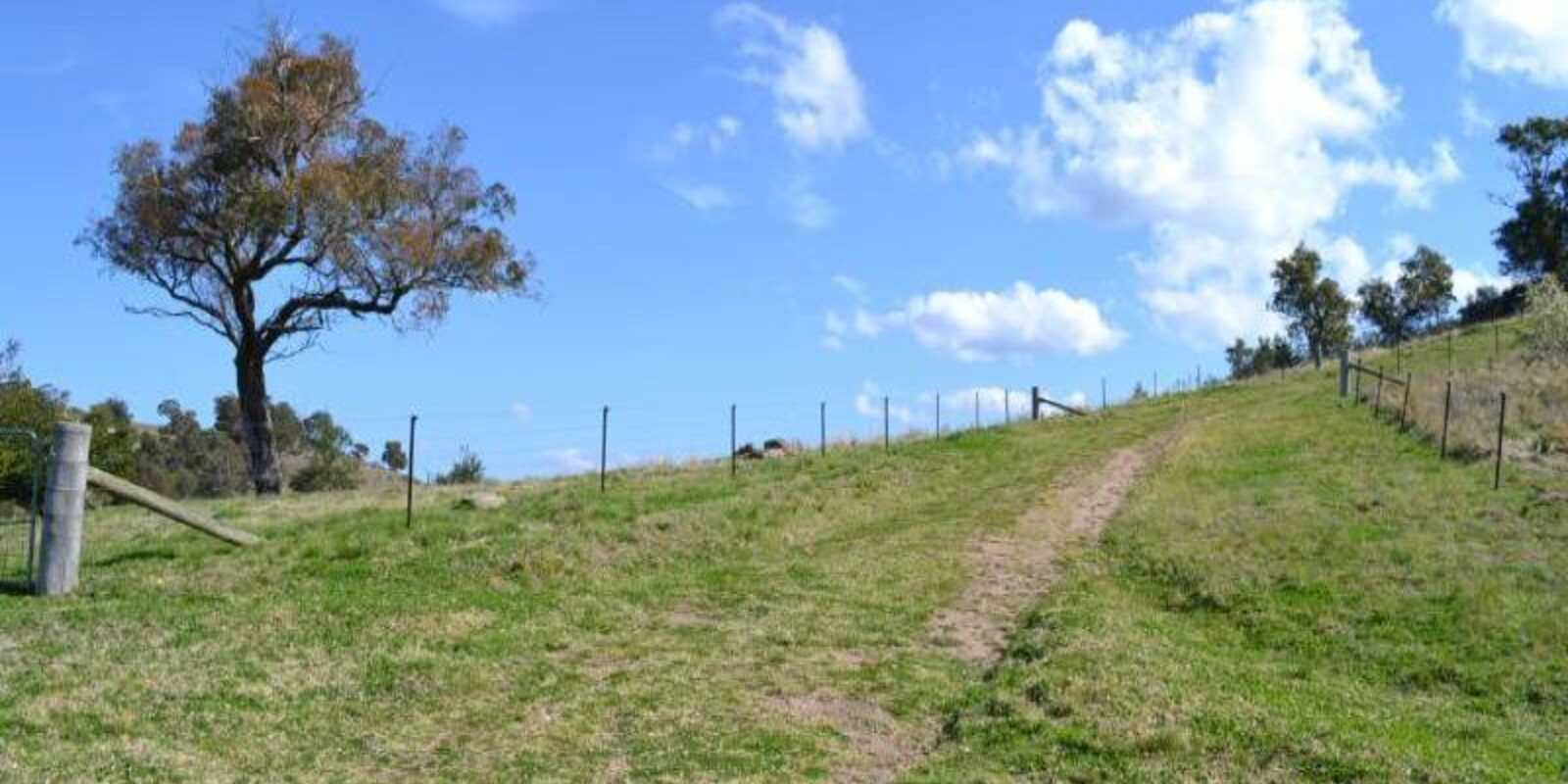 116 Pheasant Gully Road Bullio