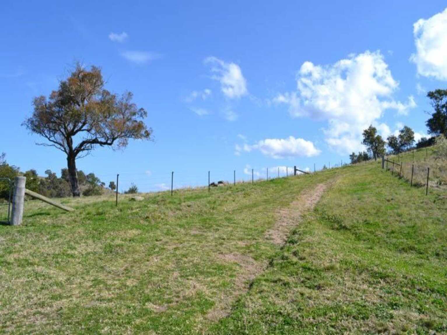 116 Pheasant Gully Road Bullio