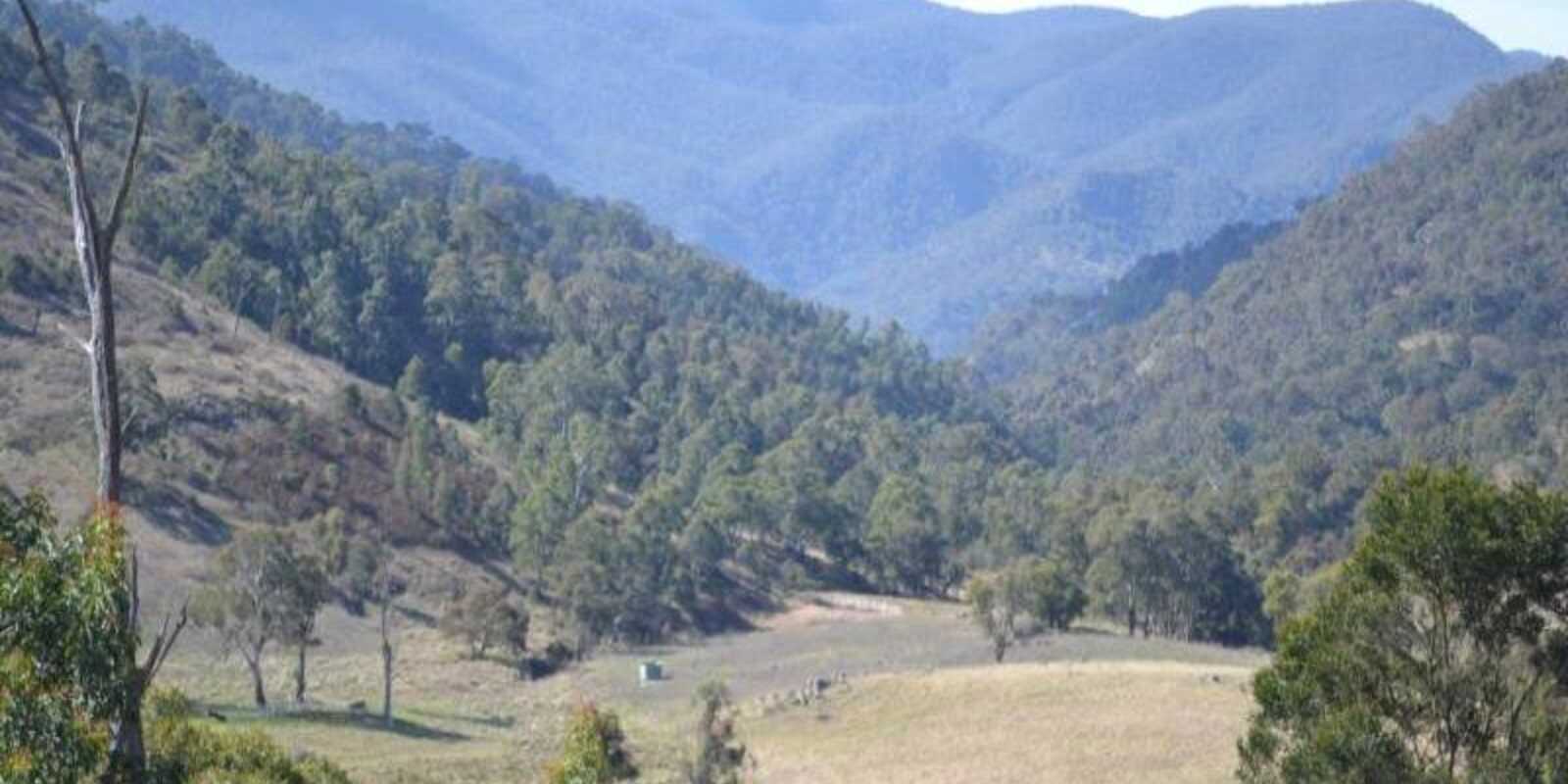116 Pheasant Gully Road Bullio