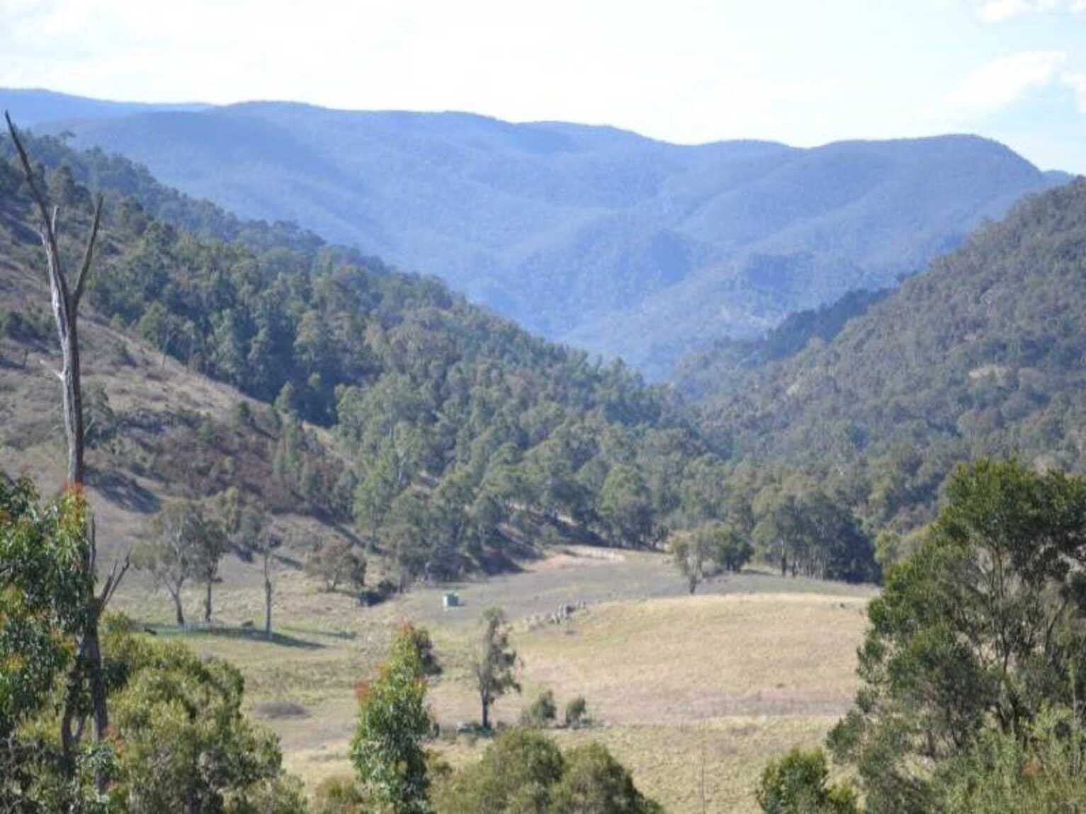 116 Pheasant Gully Road Bullio