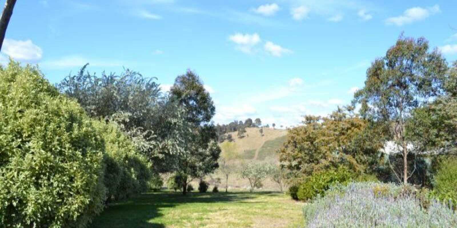 116 Pheasant Gully Road Bullio