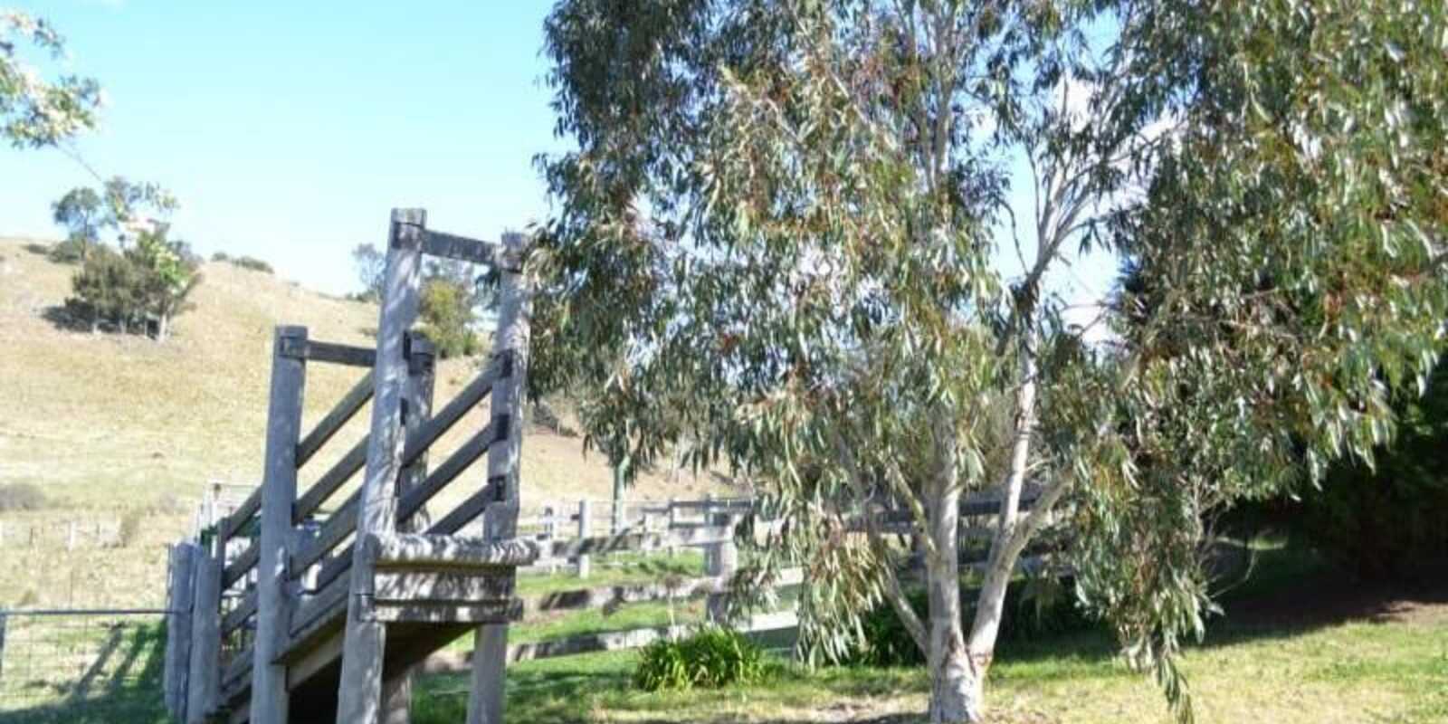 116 Pheasant Gully Road Bullio
