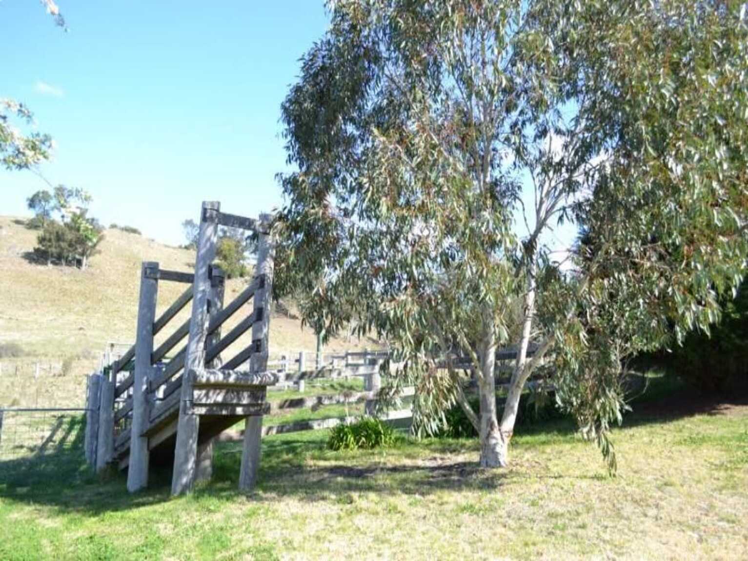 116 Pheasant Gully Road Bullio