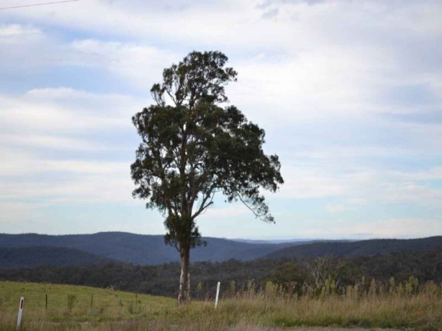 81 Burkitt Road Tallong 81 Burkitt Road Tallong