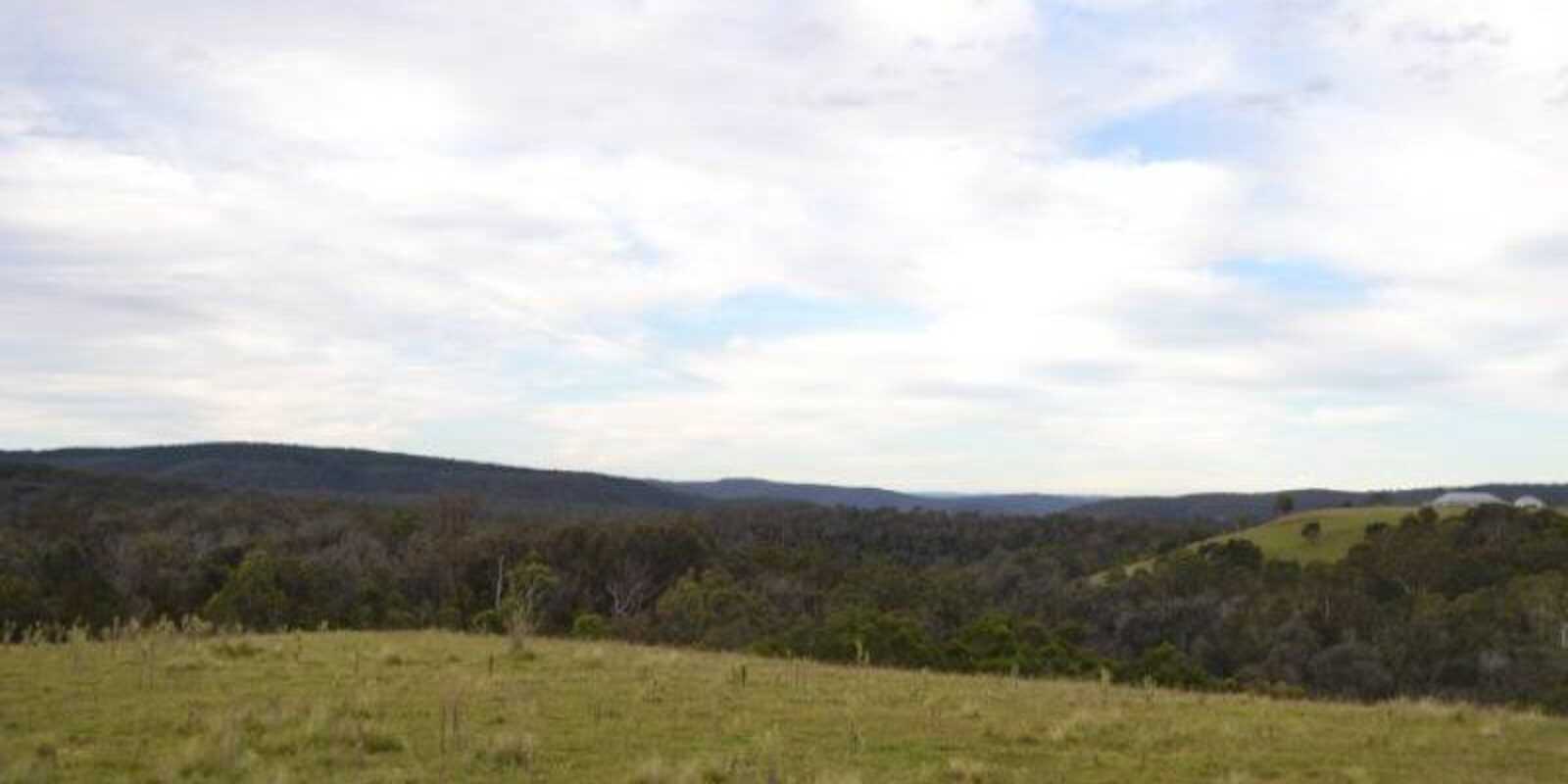81 Burkitt Road Tallong 81 Burkitt Road Tallong