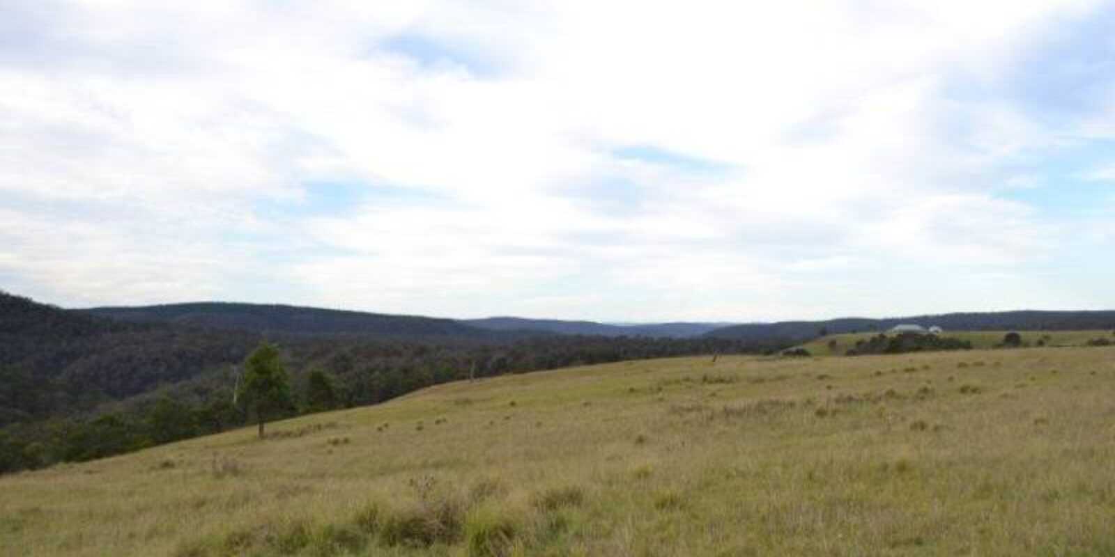 81 Burkitt Road Tallong 81 Burkitt Road Tallong