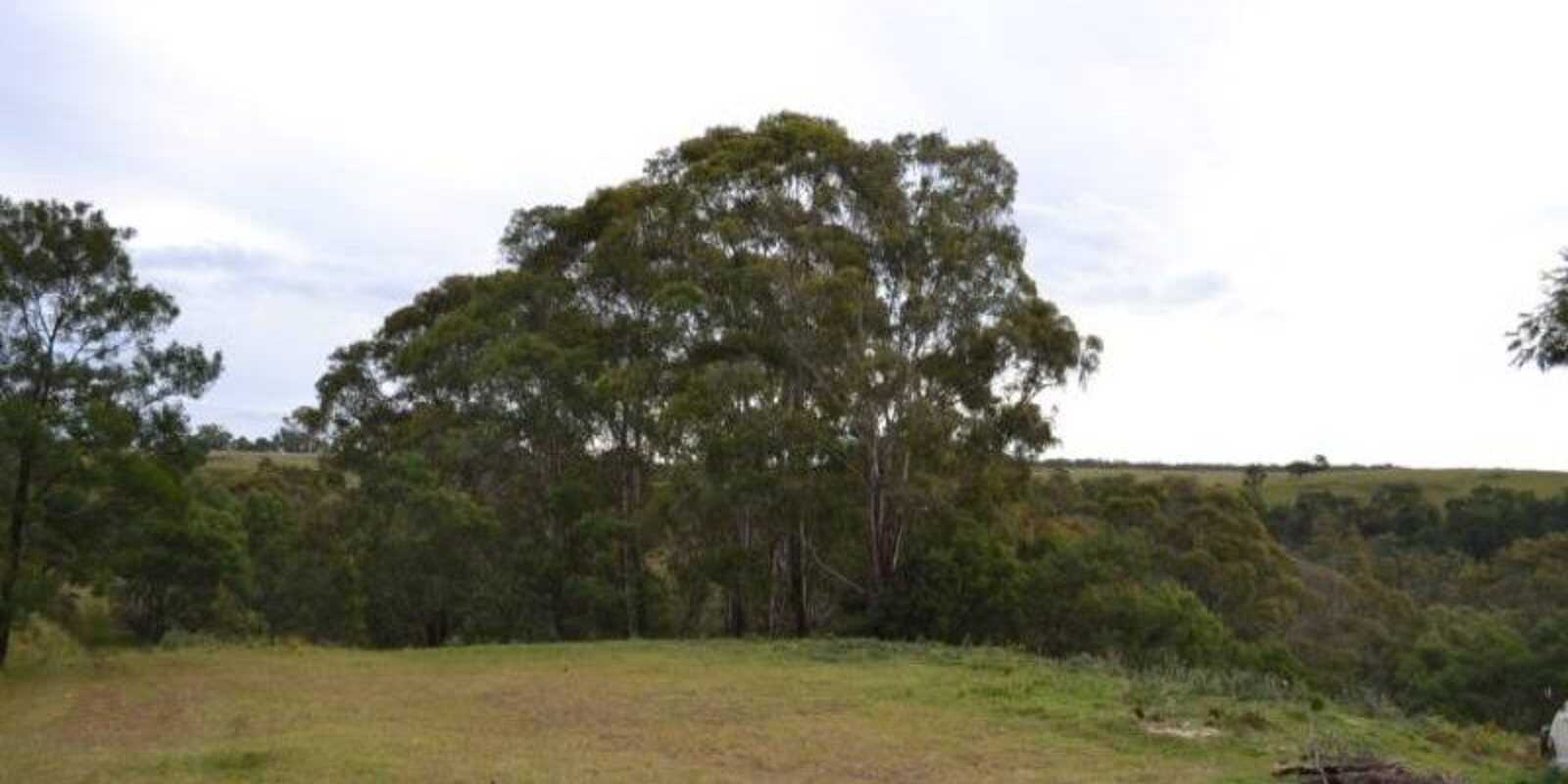 81 Burkitt Road Tallong 81 Burkitt Road Tallong