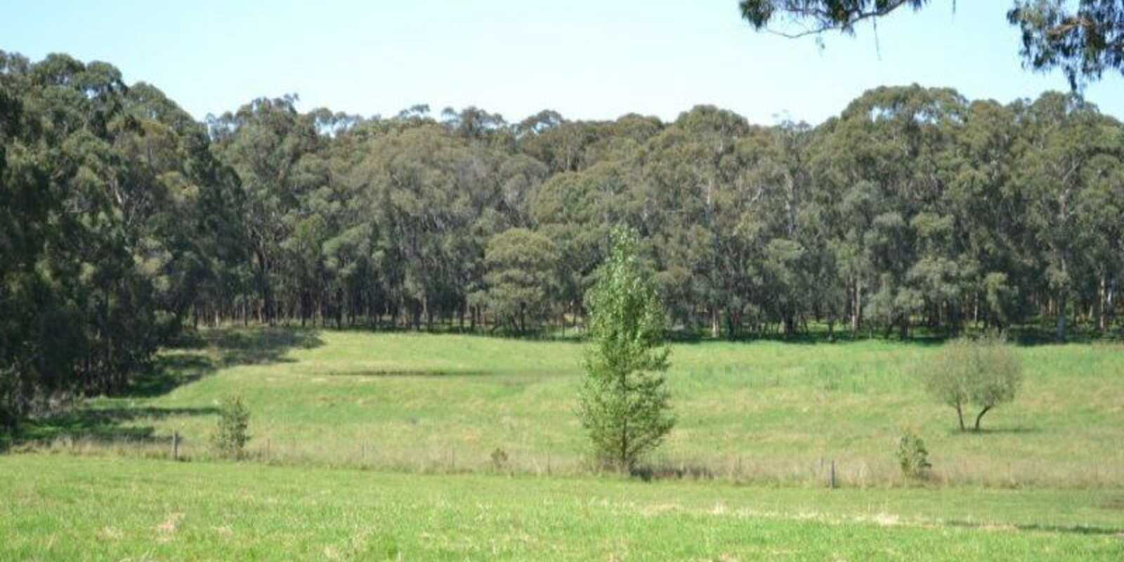 435 Nowra Road Moss Vale