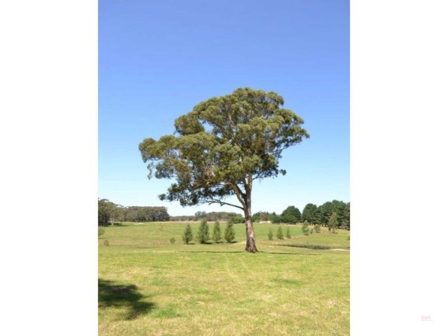 435 Nowra Road Moss Vale