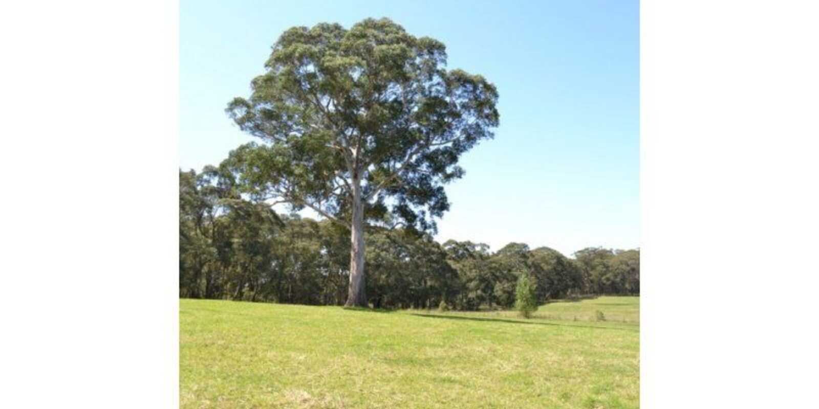 435 Nowra Road Moss Vale