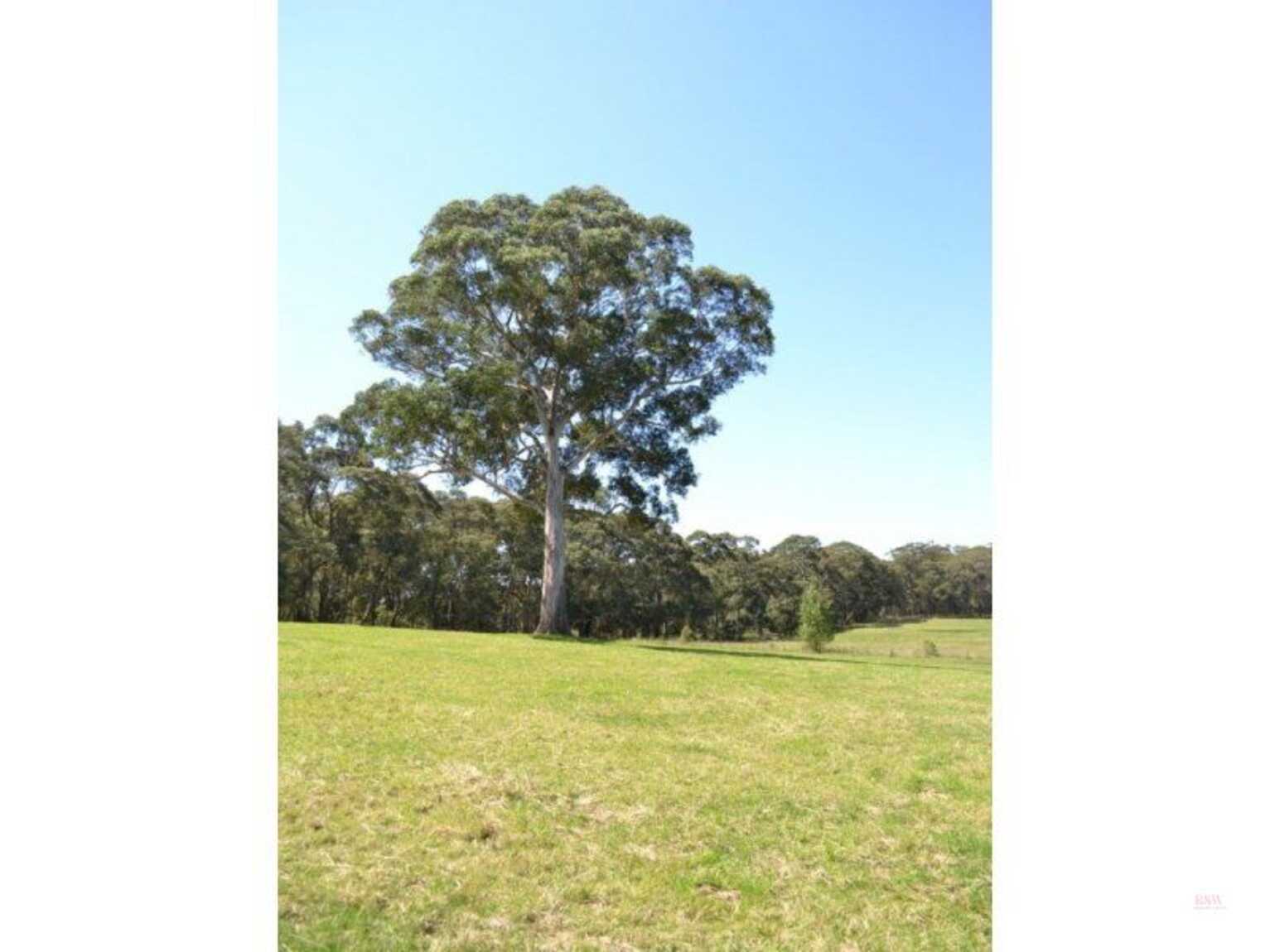 435 Nowra Road Moss Vale