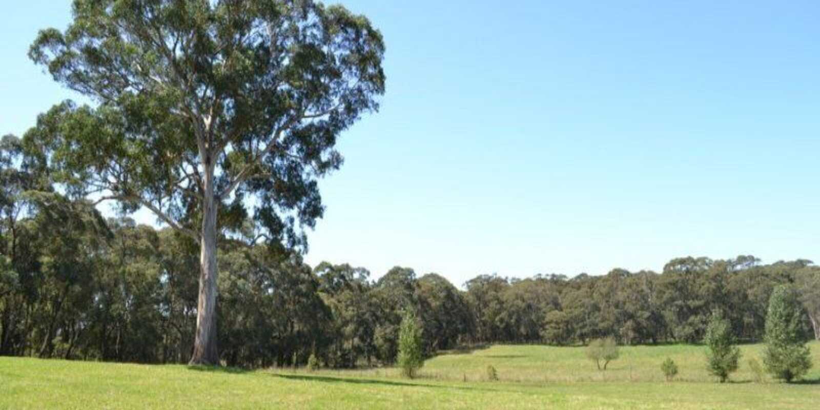435 Nowra Road Moss Vale