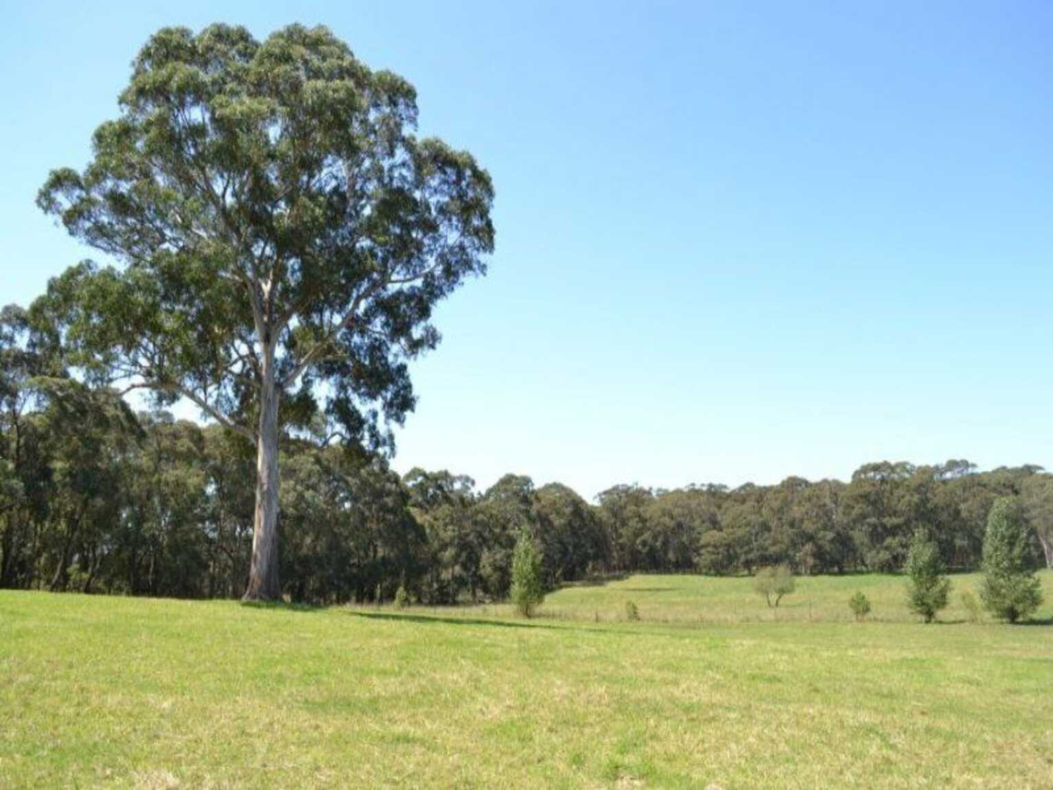 435 Nowra Road Moss Vale