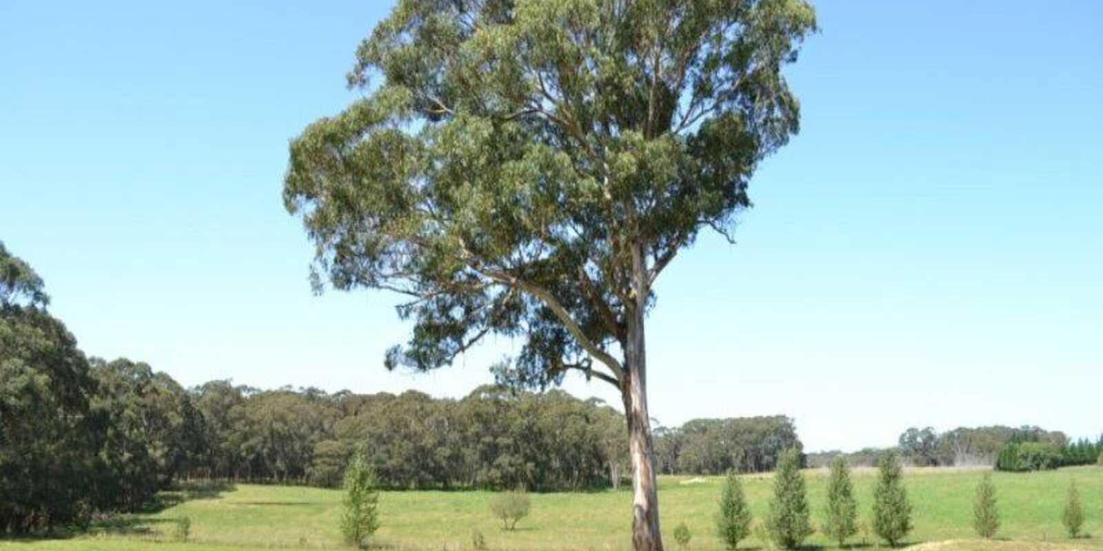 435 Nowra Road Moss Vale