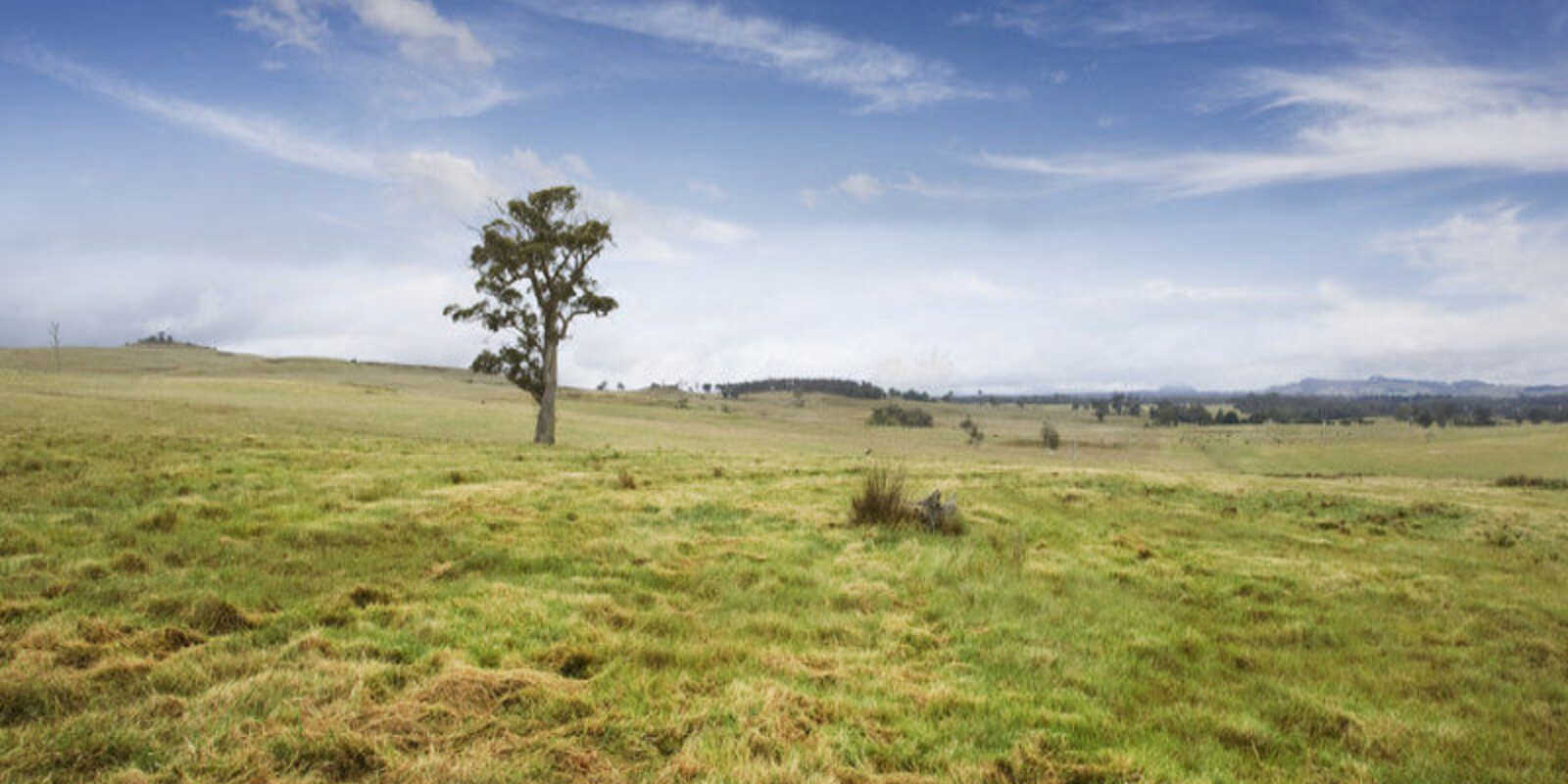 Lot 9 'Wanganderry North High Range