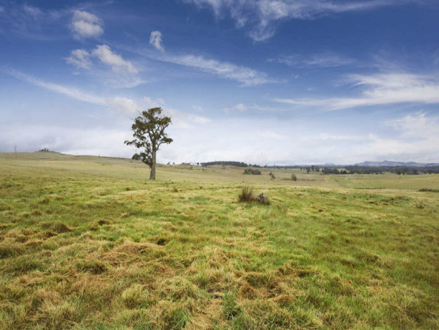 Lot 9 'Wanganderry North High Range