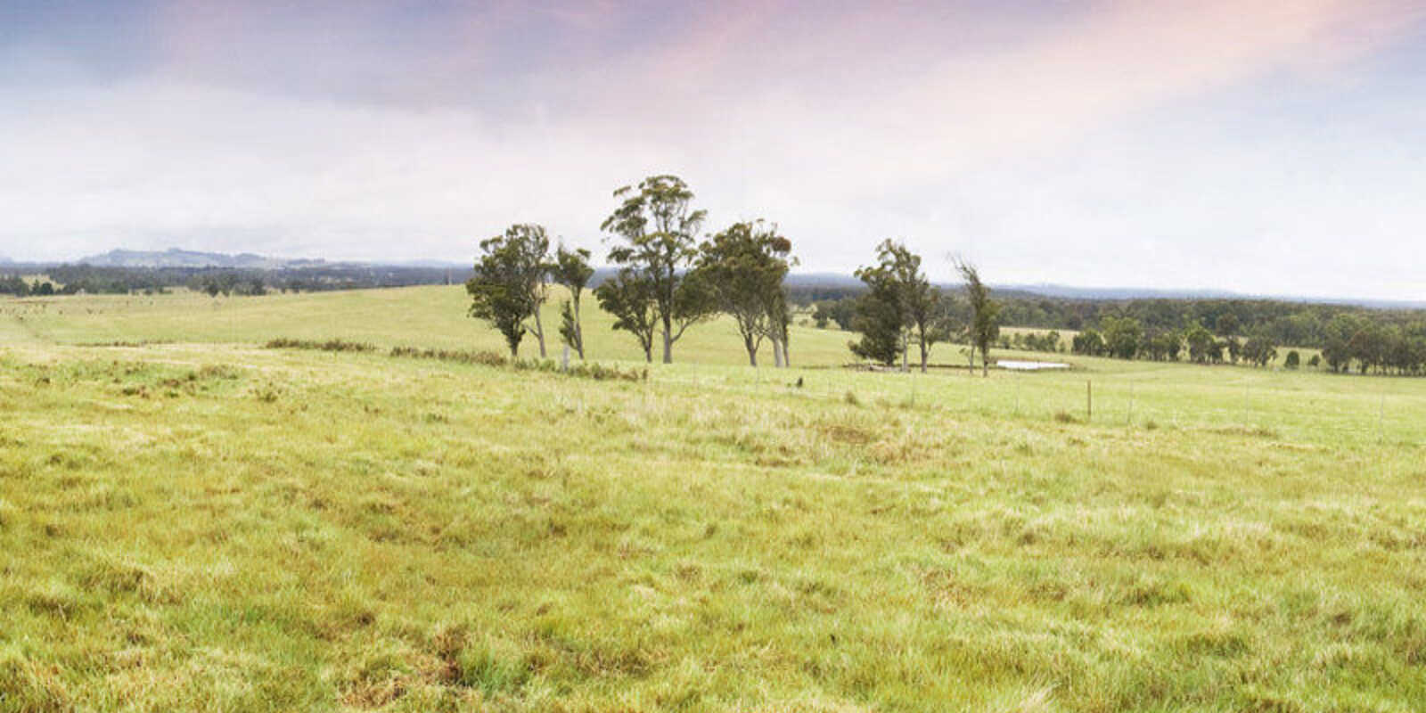 Lot 9 'Wanganderry North High Range