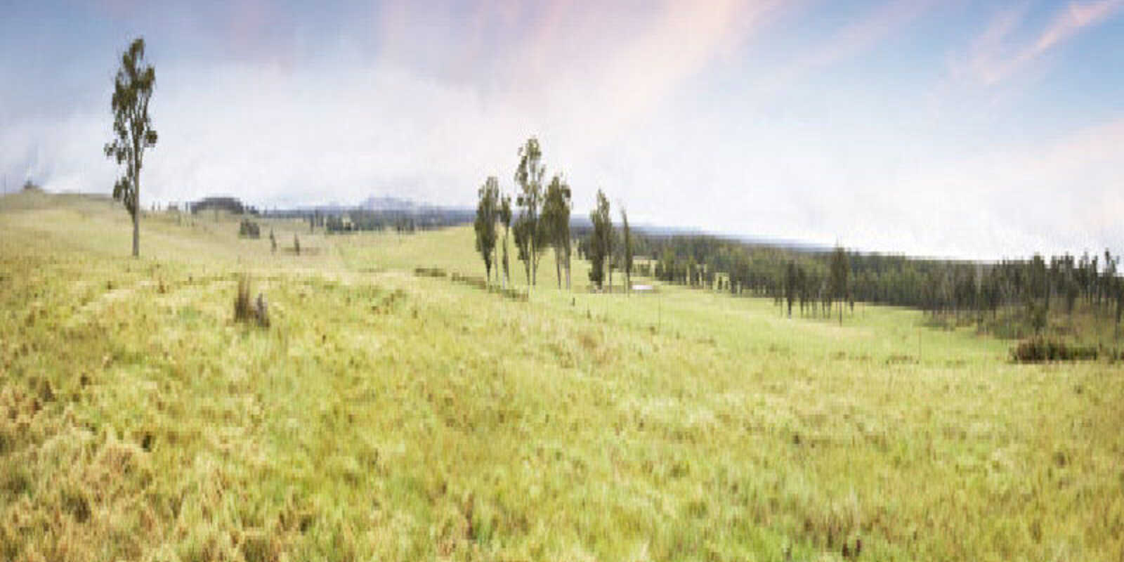 Lot 9 'Wanganderry North High Range