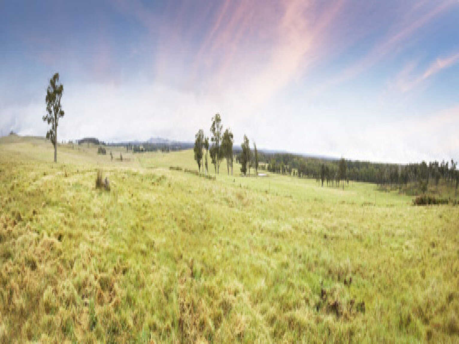Lot 9 'Wanganderry North High Range