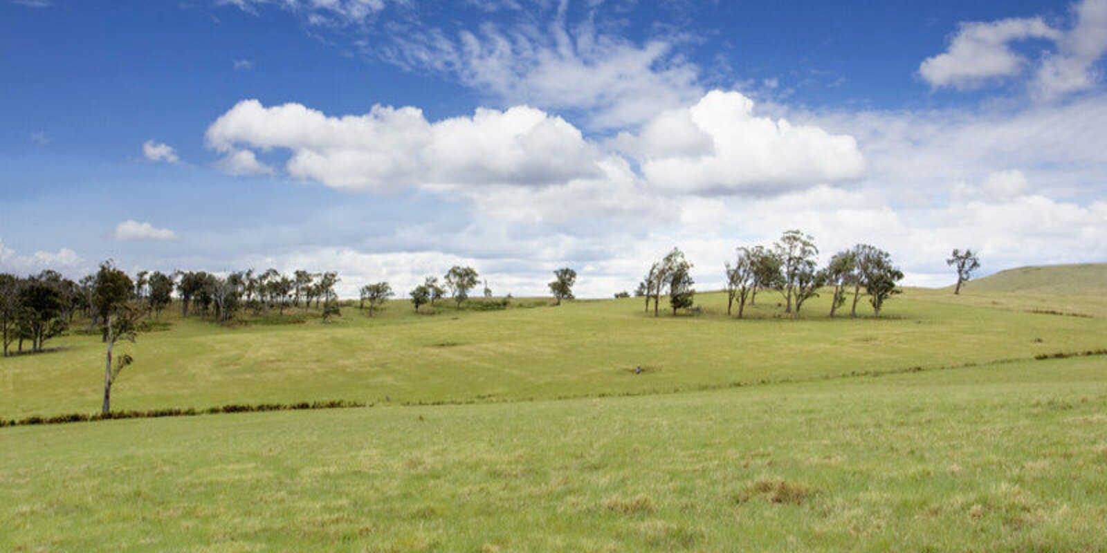 Lot 9 'Wanganderry North High Range
