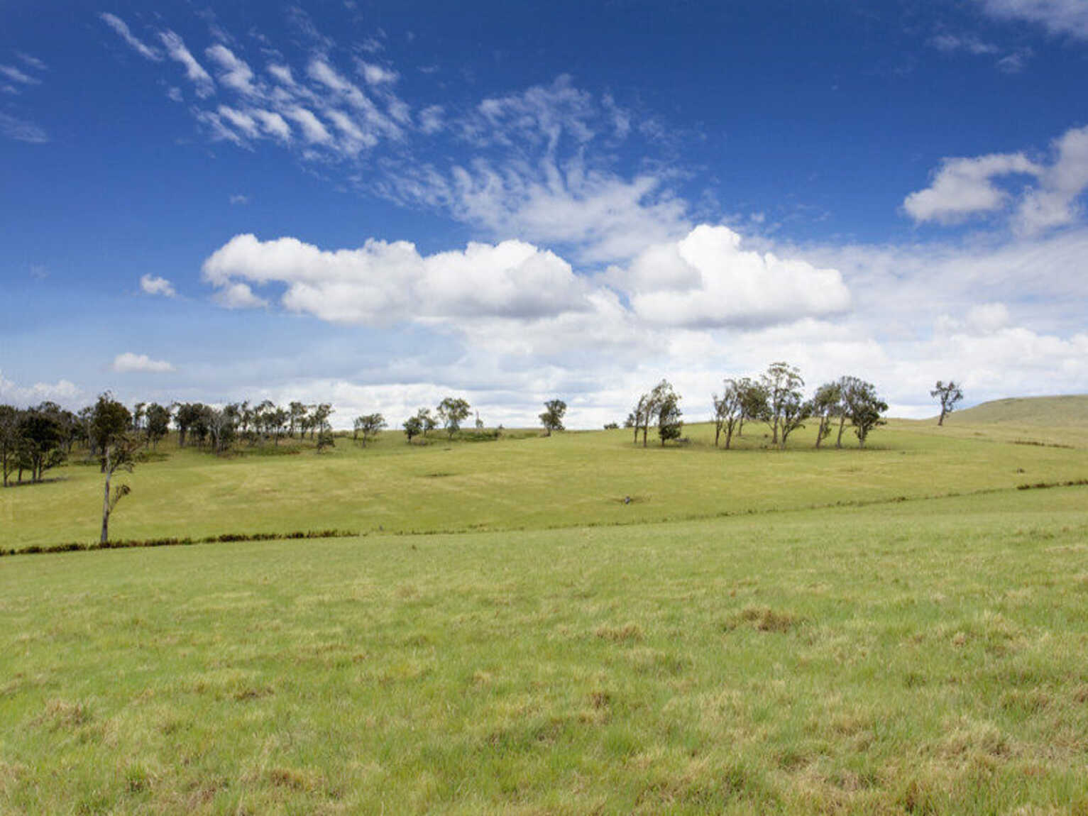 Lot 9 'Wanganderry North High Range