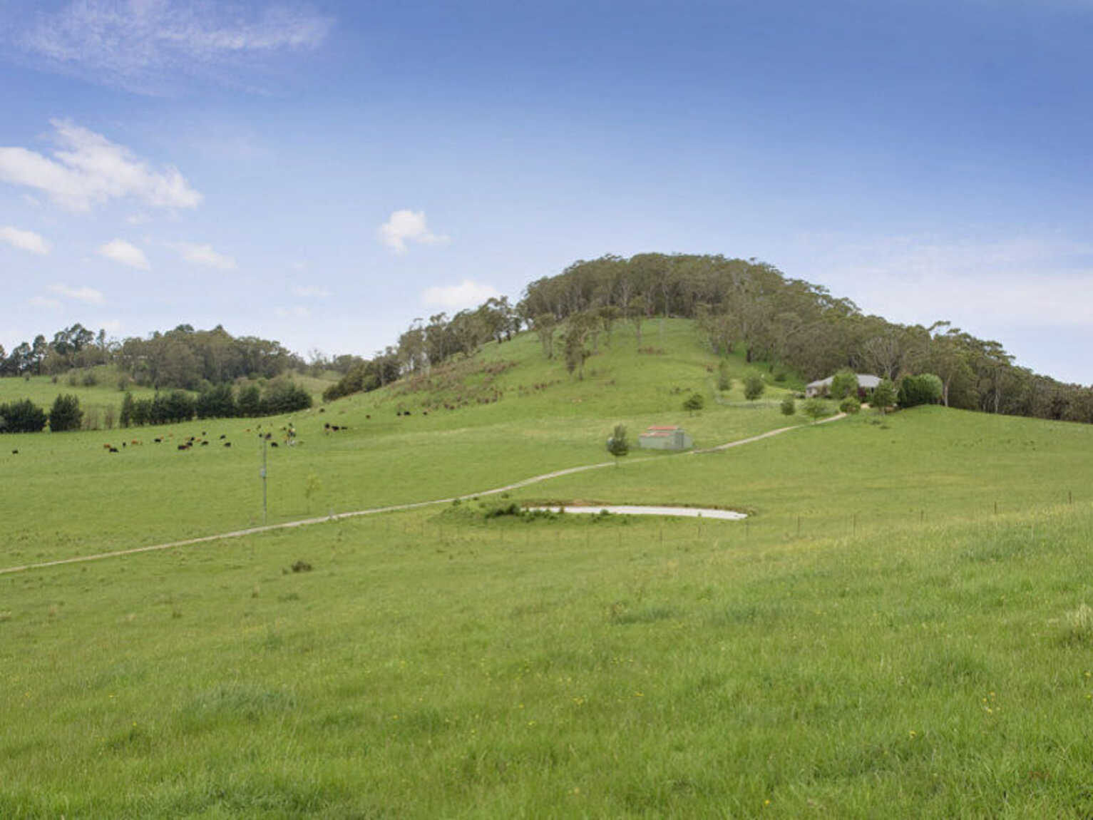 65 Meryla Road Moss Vale