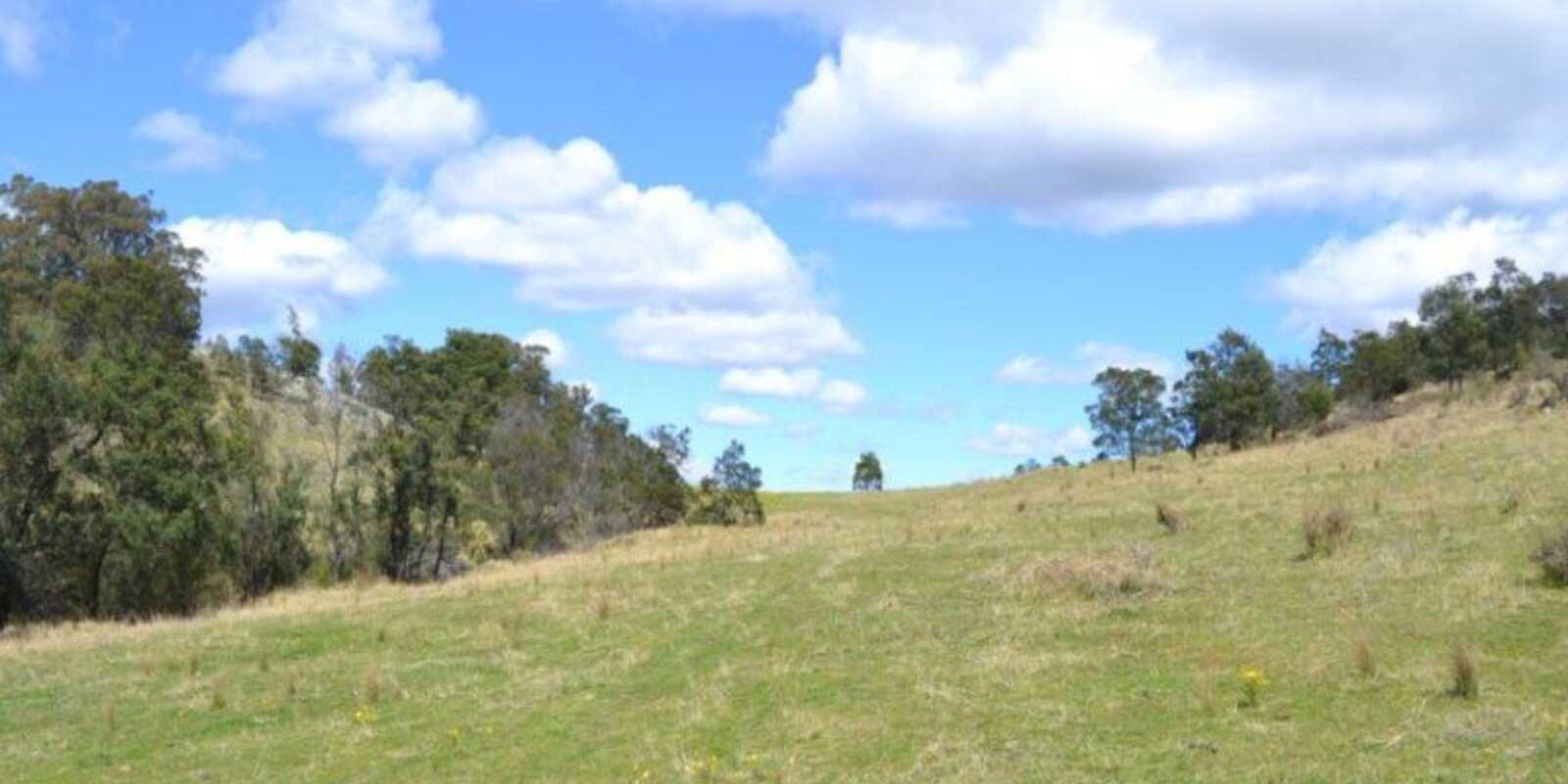 Wombeyan Caves Road Bullio Wombeyan Caves Road Bullio