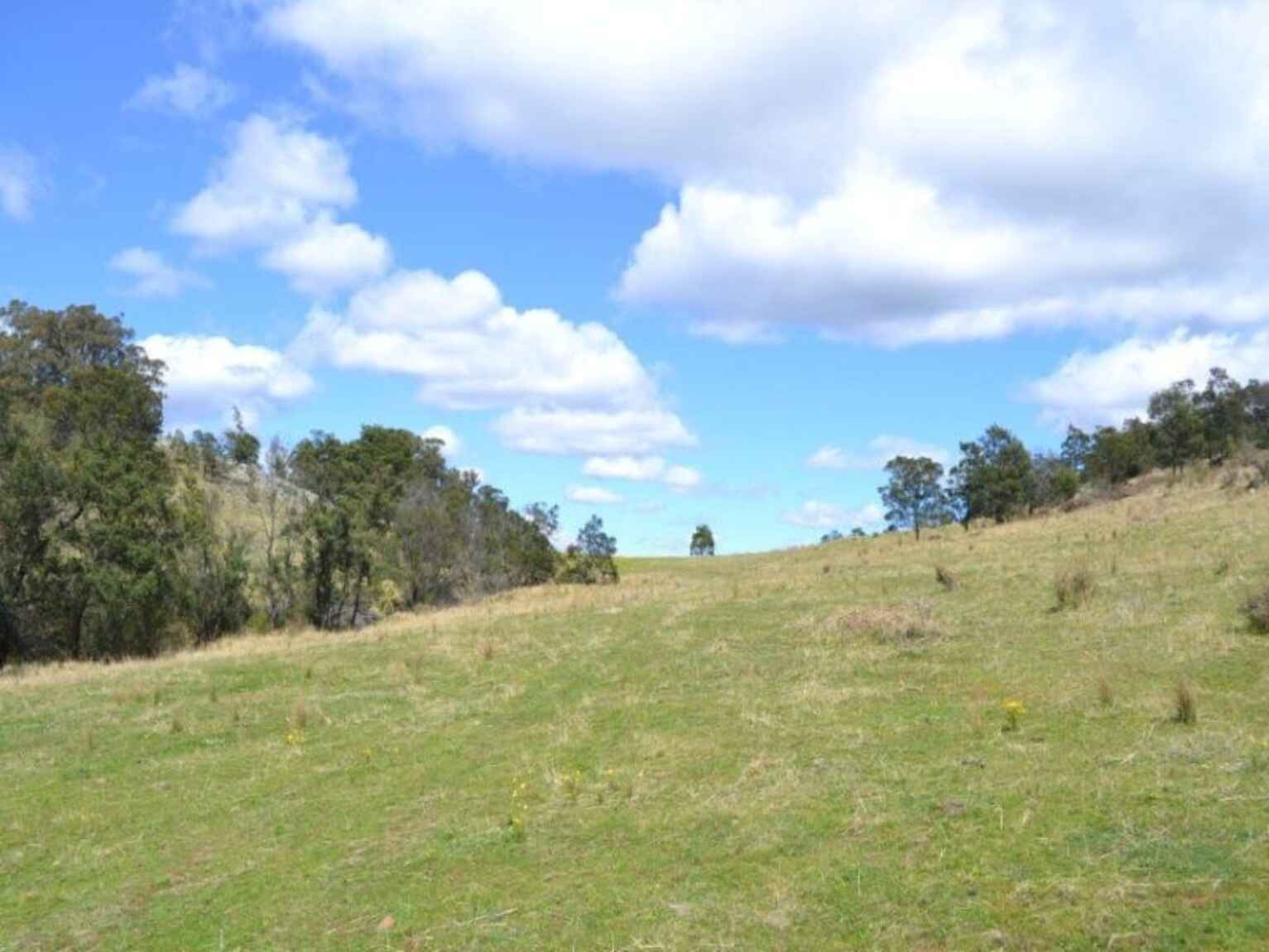 Wombeyan Caves Road Bullio Wombeyan Caves Road Bullio