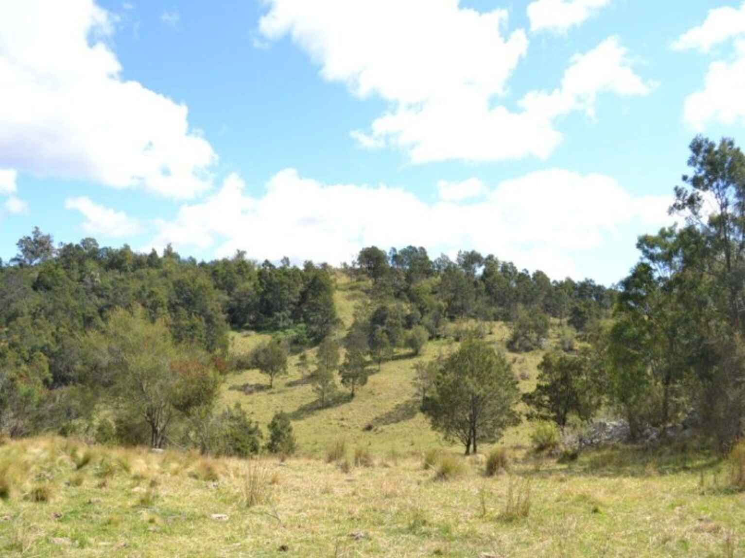 Wombeyan Caves Road Bullio Wombeyan Caves Road Bullio