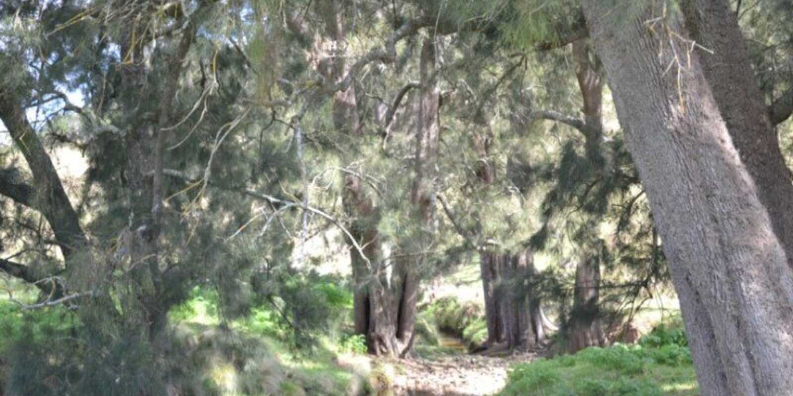 Wombeyan Caves Road Bullio Wombeyan Caves Road Bullio