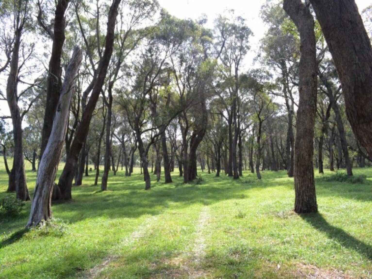 Illawarra Highway Avoca Illawarra Highway Avoca