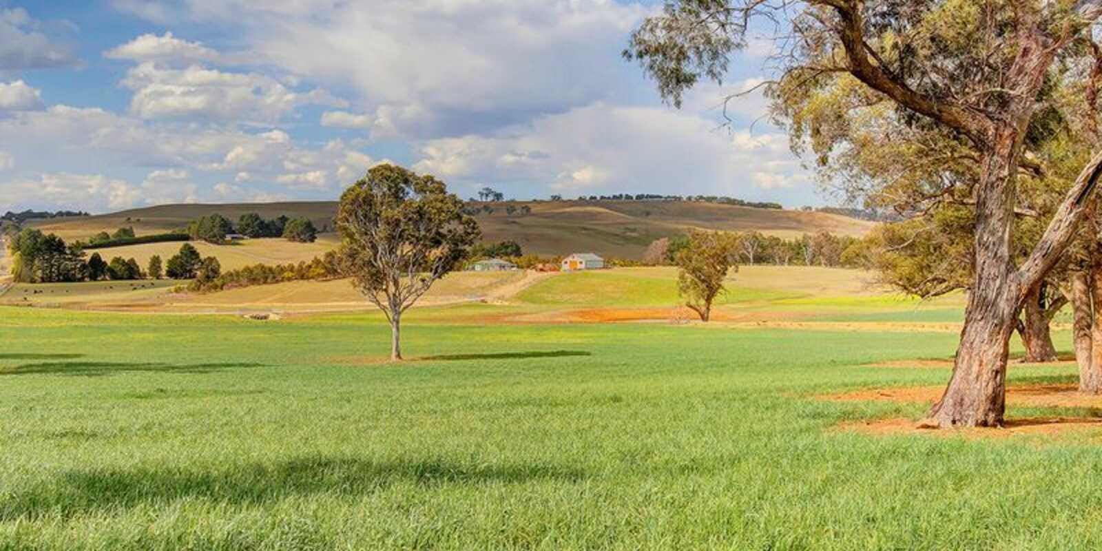  Berrima