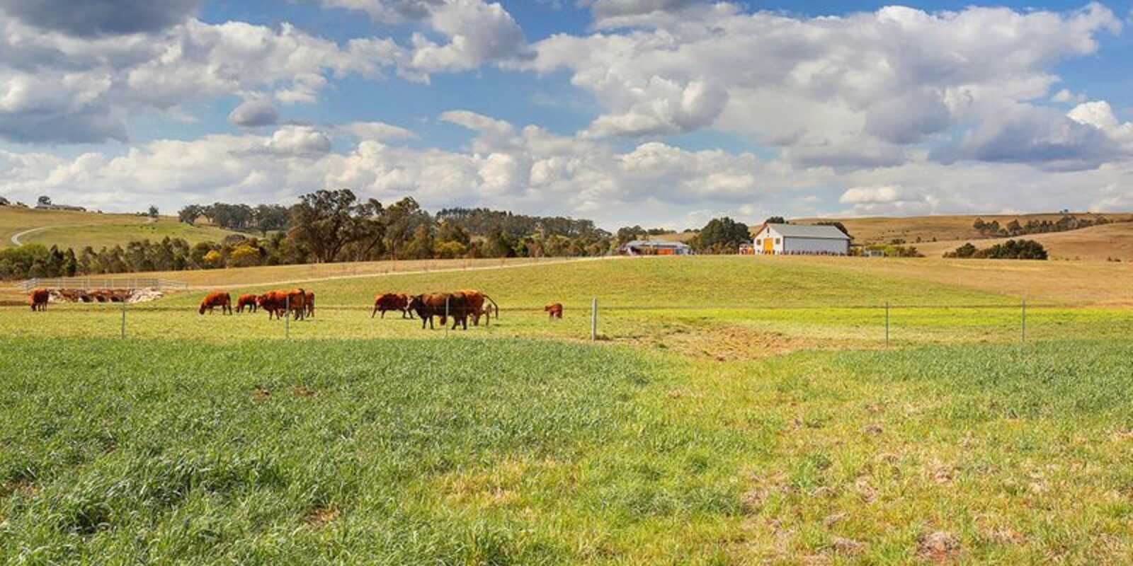  Berrima