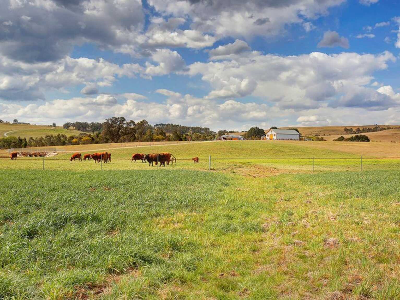  Berrima