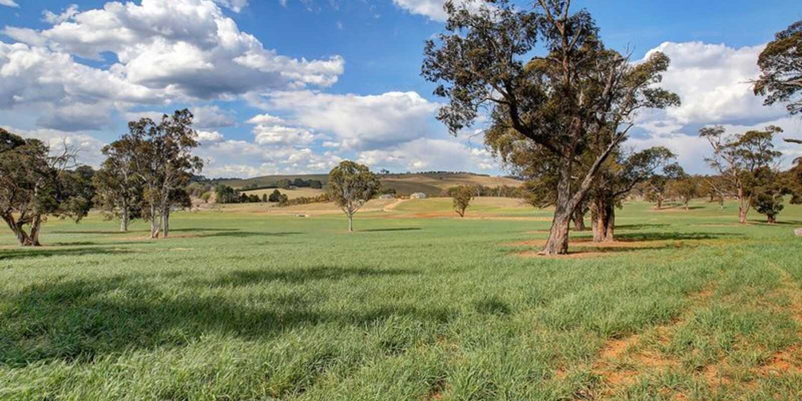  Berrima