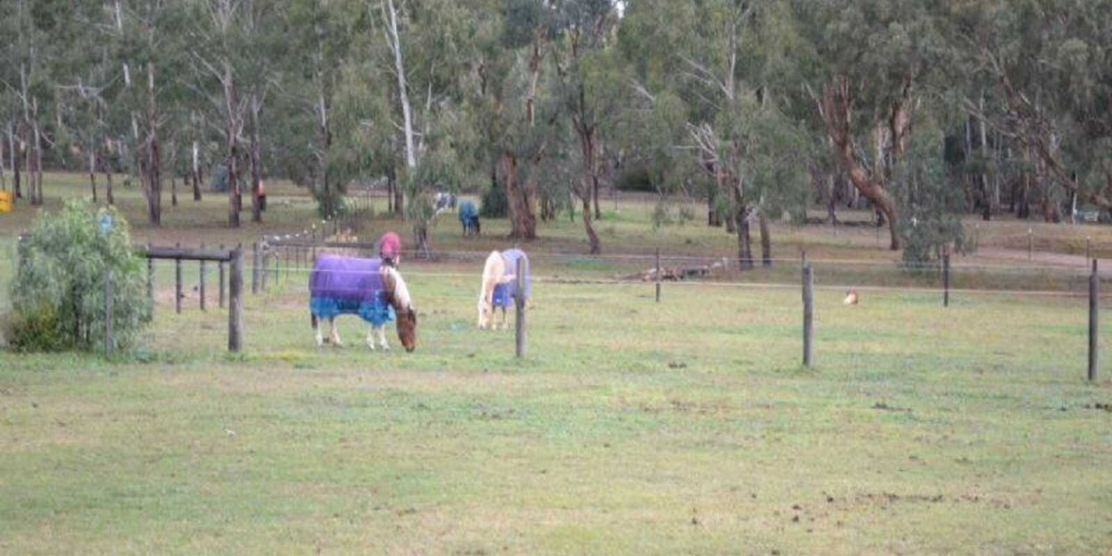 Lot 112 Bedford Street Bungonia