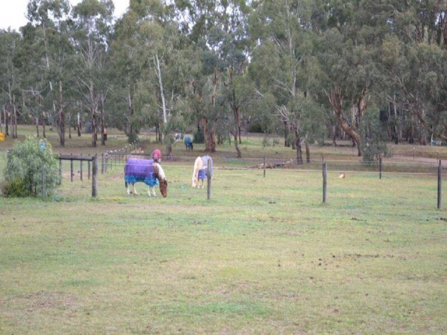 Lot 112 Bedford Street Bungonia