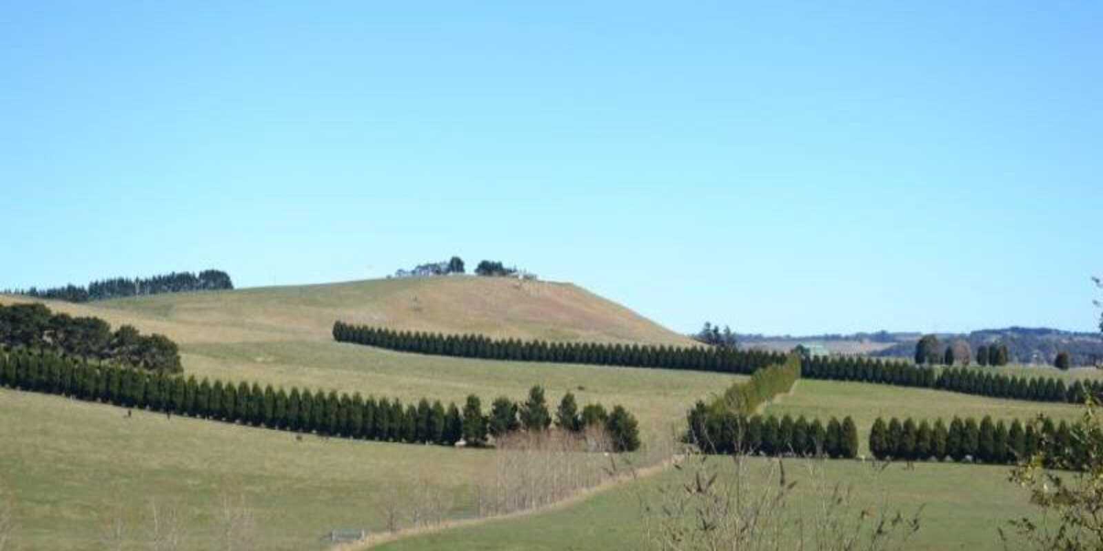 90 Yarrawa Road Moss Vale