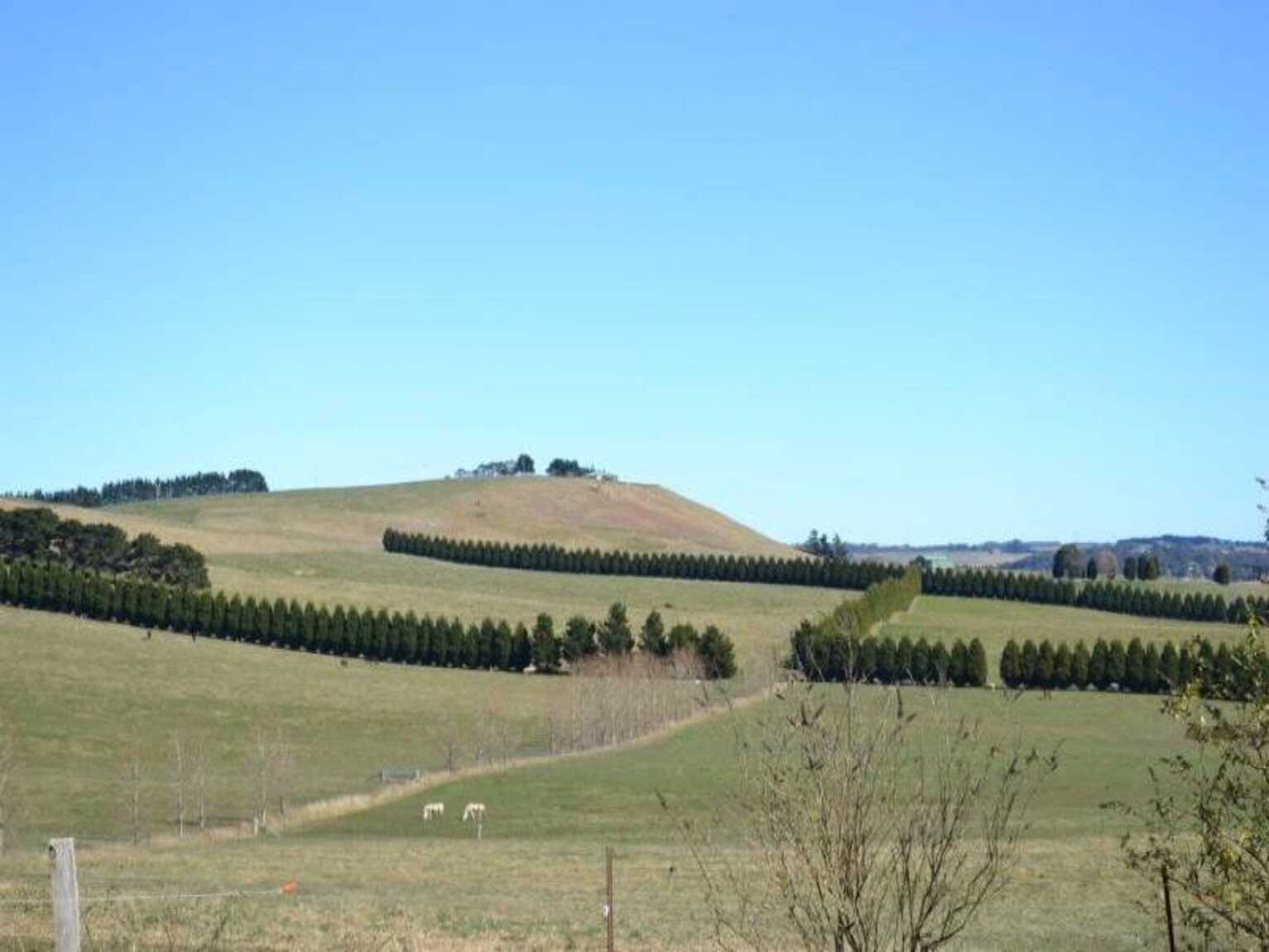 90 Yarrawa Road Moss Vale