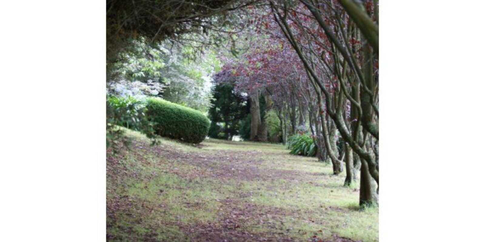  Collingwood Werai Road Exeter