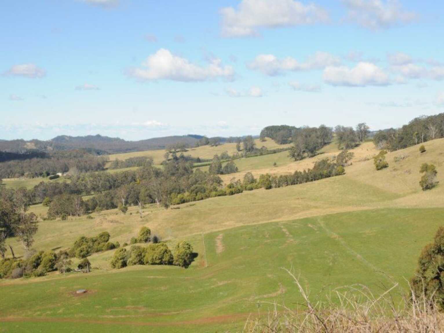 136 Sugarloaf Lane Kangaloon
