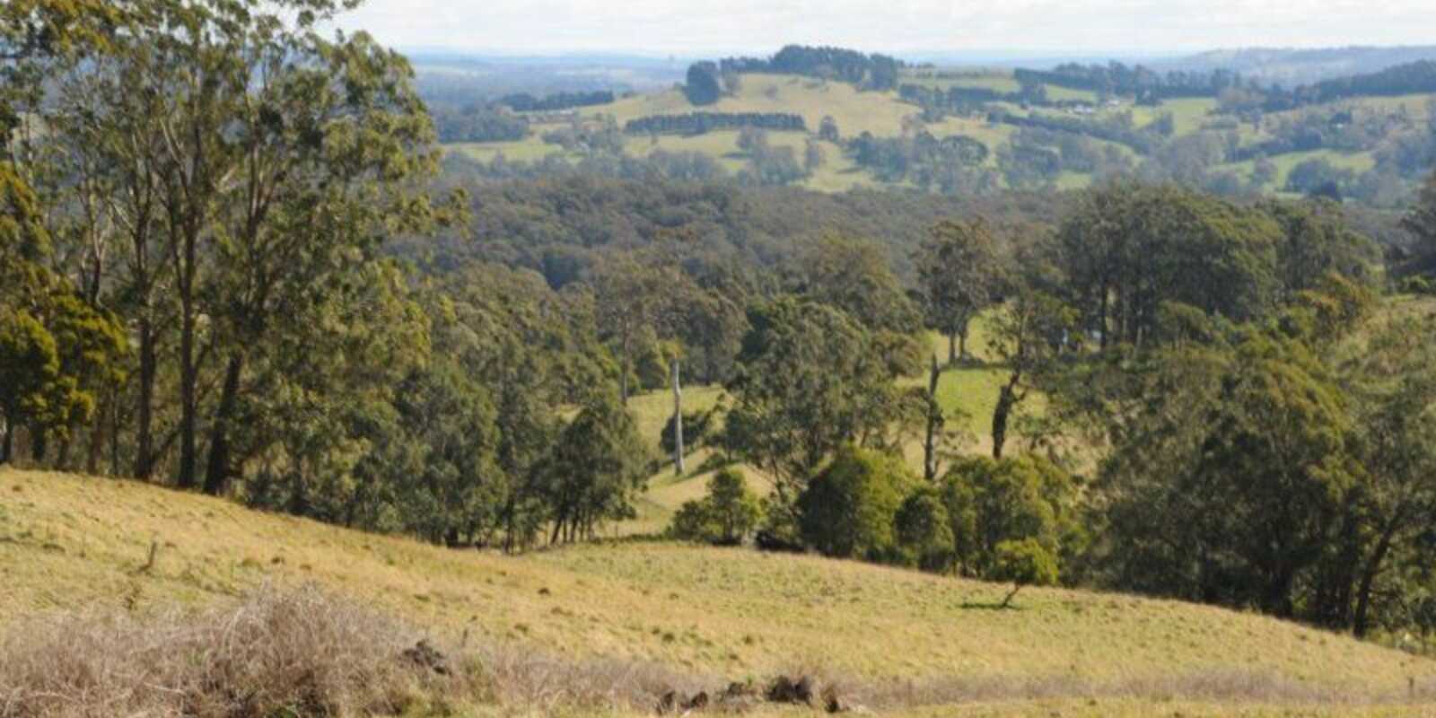 136 Sugarloaf Lane Kangaloon