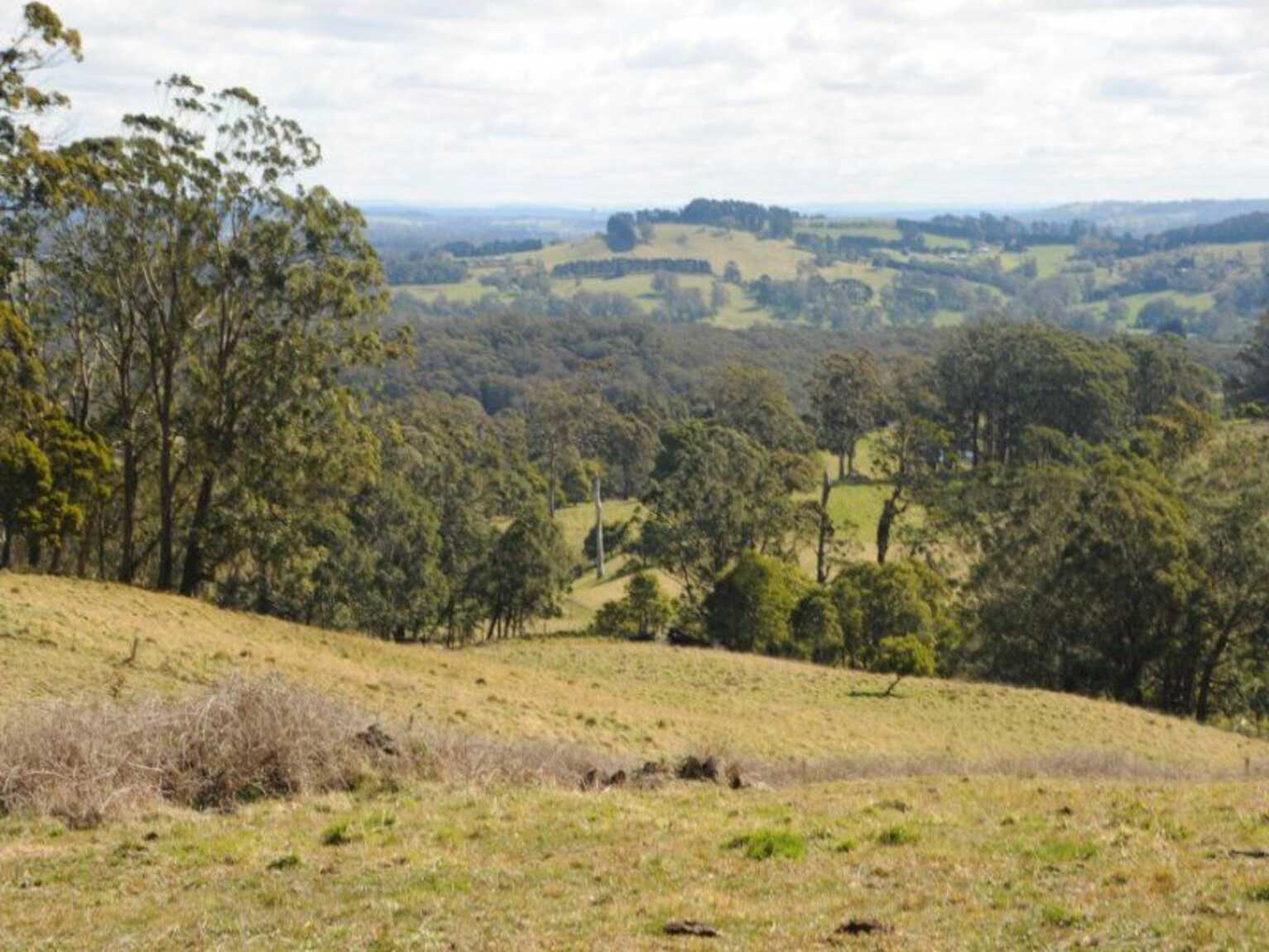 136 Sugarloaf Lane Kangaloon