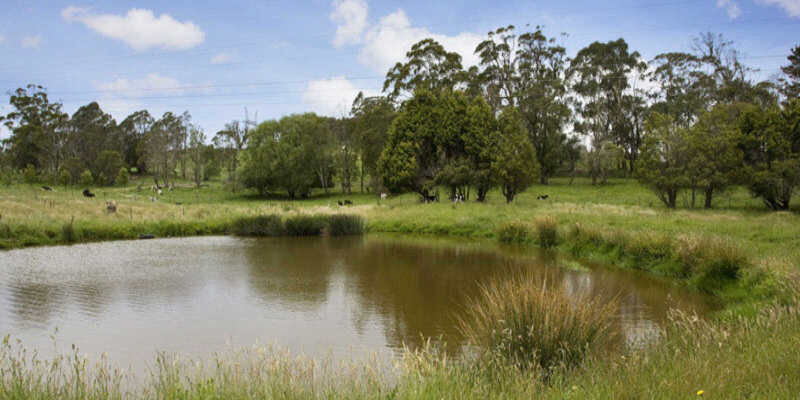 5 Church Street Burrawang