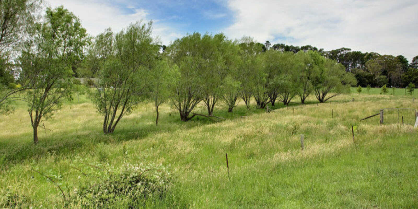 5 Church Street Burrawang