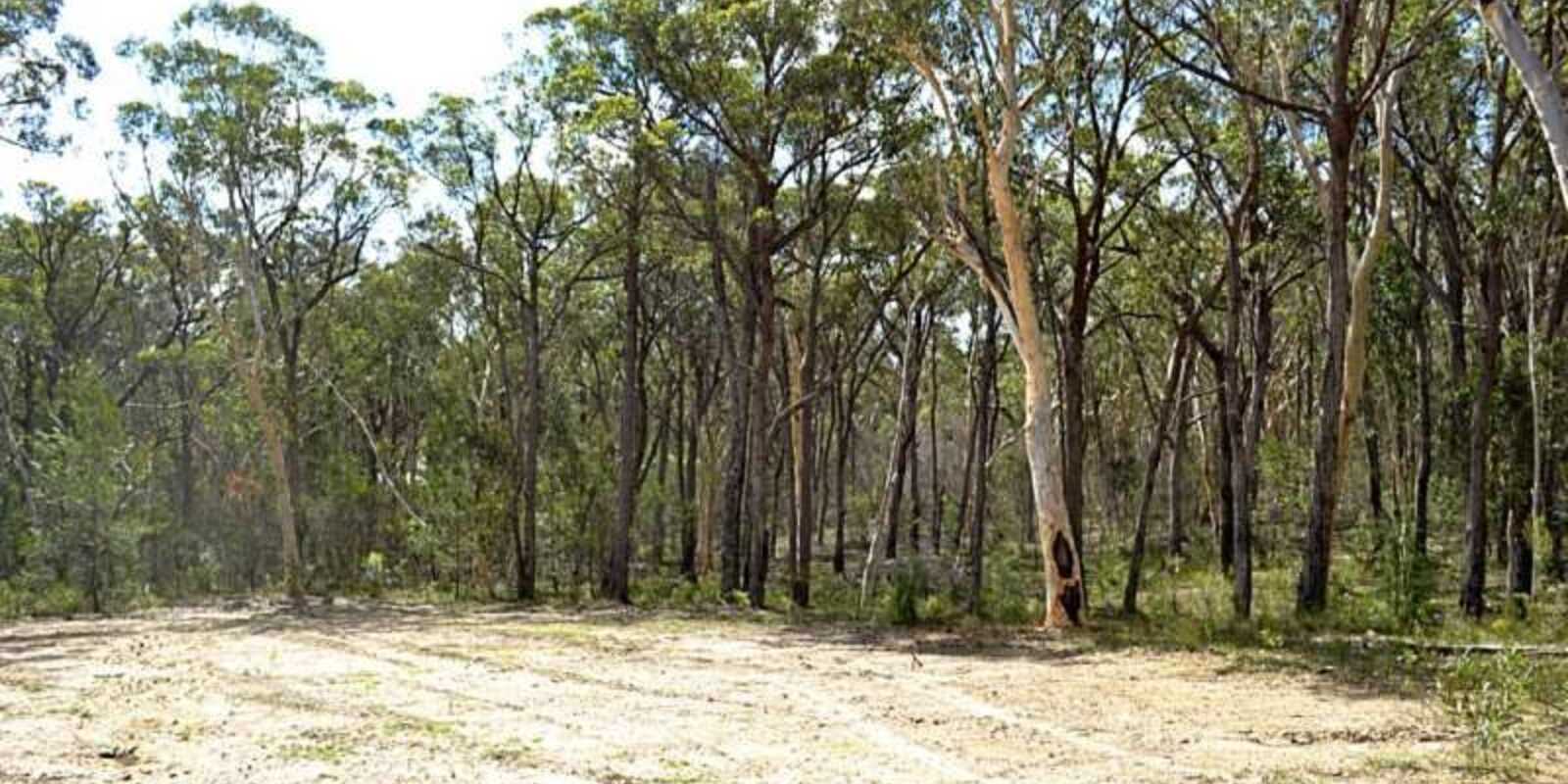 25 Grevillea Close Tallong 25 Grevillea Close Tallong