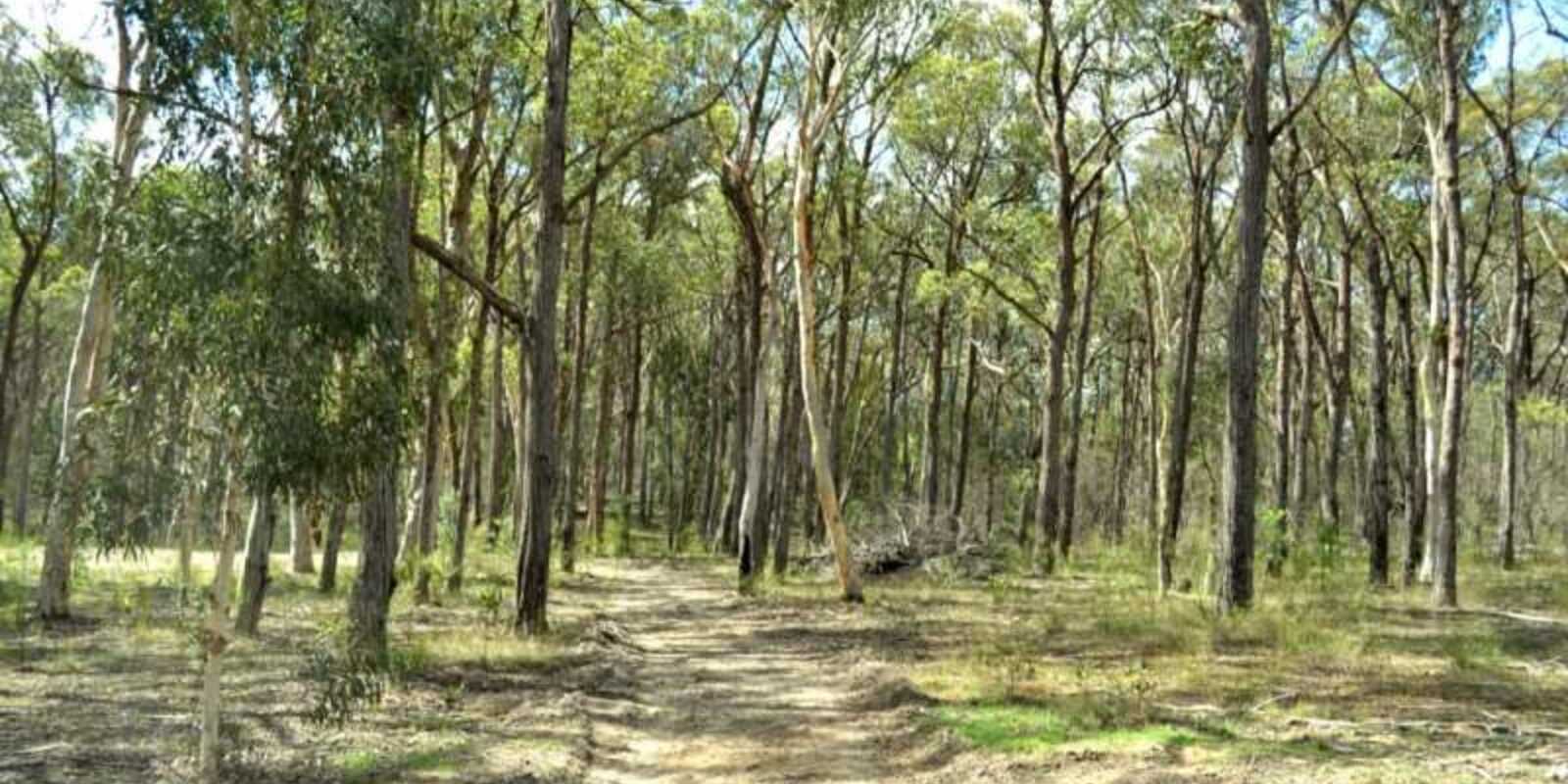 25 Grevillea Close Tallong 25 Grevillea Close Tallong