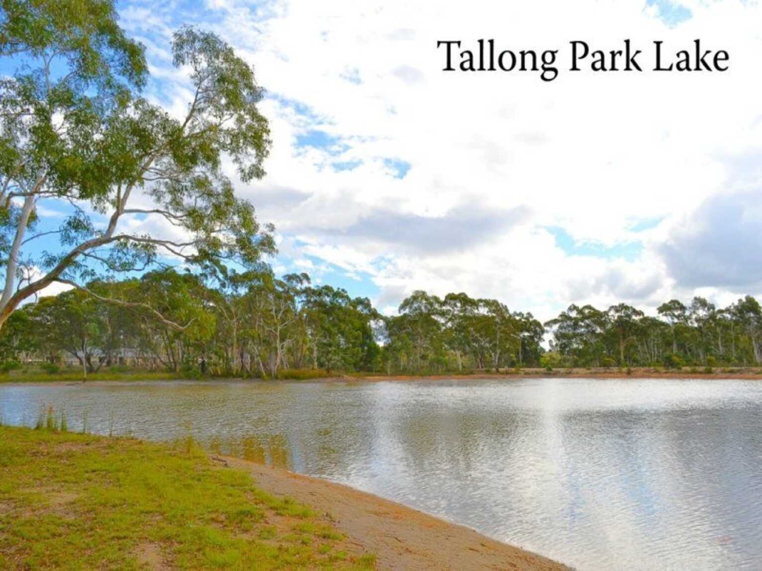 25 Grevillea Close Tallong 25 Grevillea Close Tallong